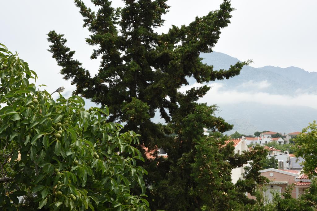 Anestis Chatzimihail Rooms Kamariotissa Dış mekan fotoğraf